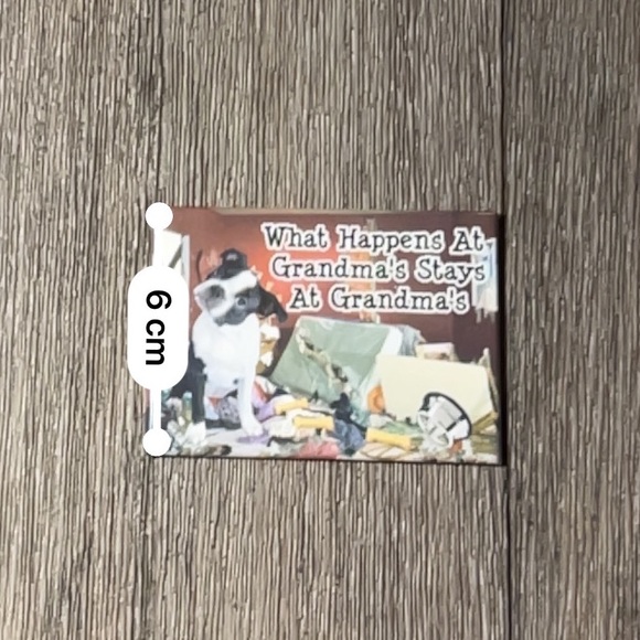 🌼2/$12 Wag Whimsy Boston Terrier Magnet - Picture 5 of 5